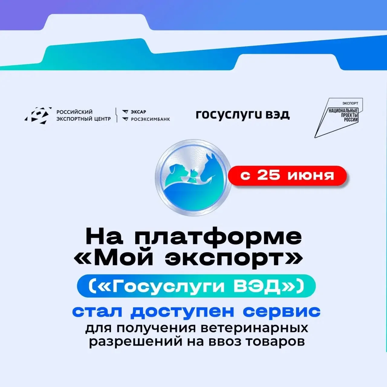 🚀 Новый сервис на платформе Госуслуги ВЭД (Мой экспорт)