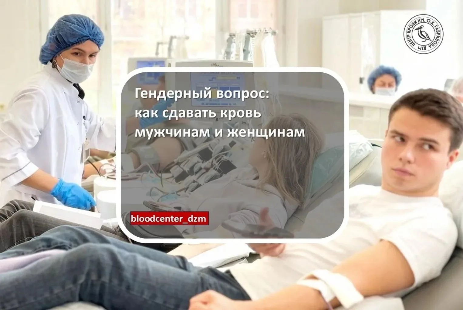 Гендерный вопрос: как сдавать кровь мужчинам и женщинам