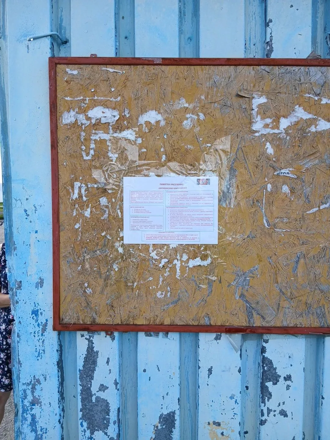 🐖На территории Заводоуковского муниципального округа продолжается работа по предупрежд...