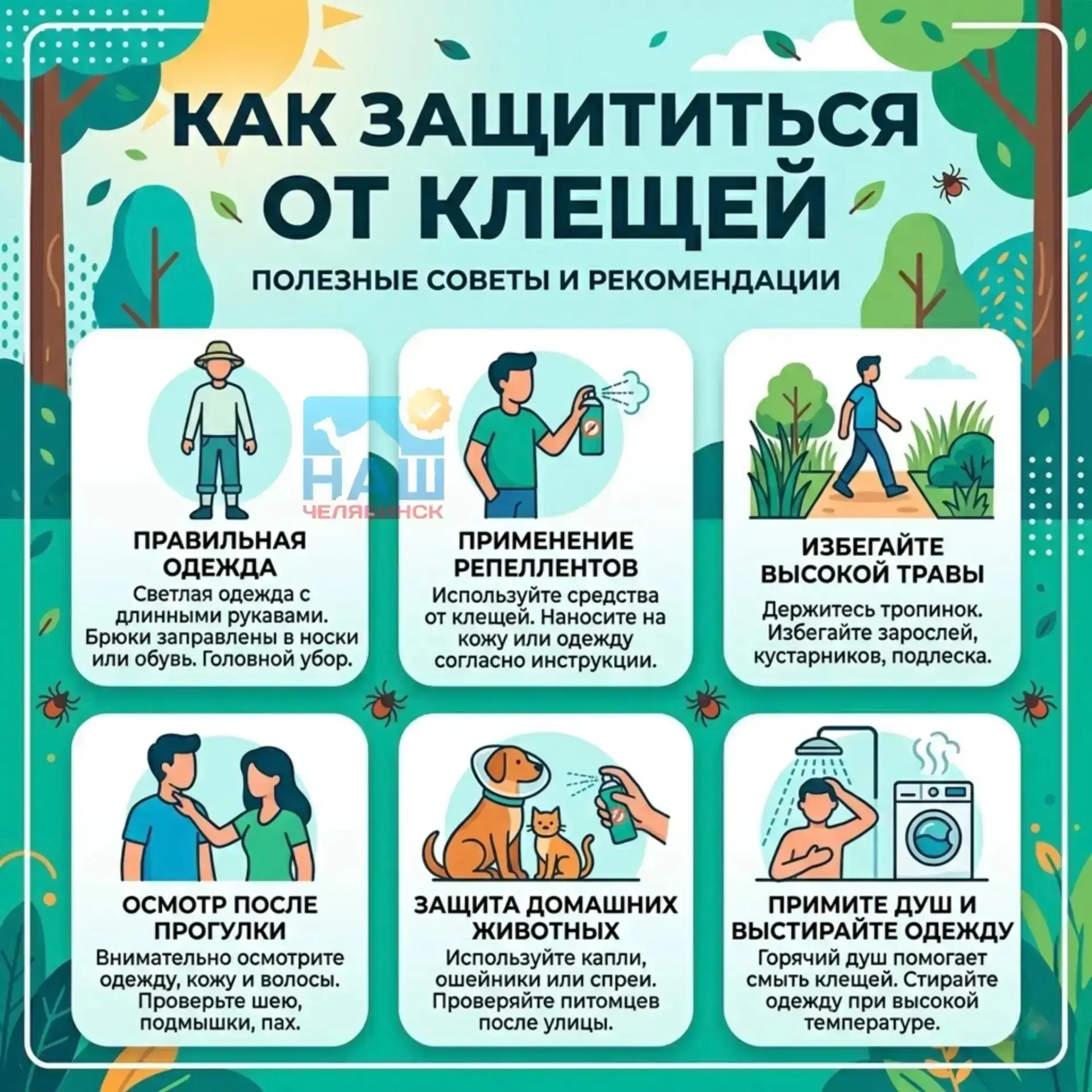 Фото
