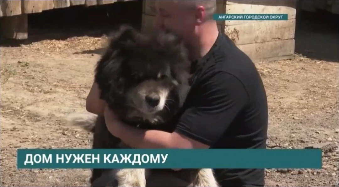 ПОМОЖЕМ ПРИЮТУ «ПОМОГИ ВЫЖИТЬ» ВМЕСТЕ! ❤️‍🩹🇷🇺