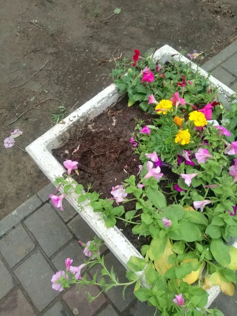 Стыдно за то, что живем в одном городе 😞