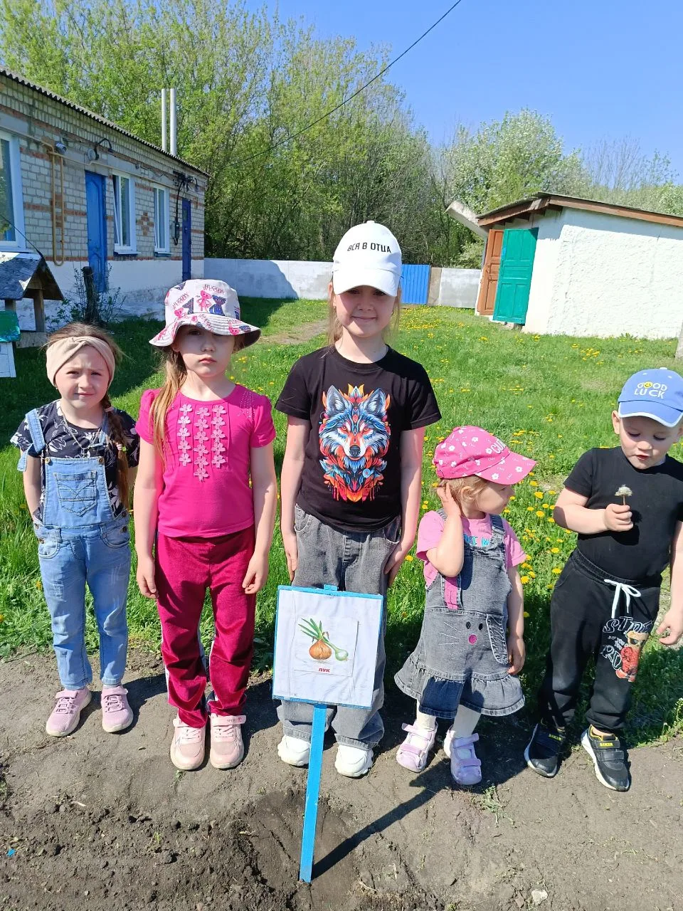 В нашем детском саду прошёл день юного огородника.