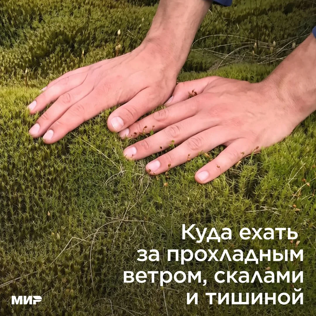 Если этим летом хочется не на юг

Есть места, где вместо +35 — прохладный ветер, вместо лежаков — ск