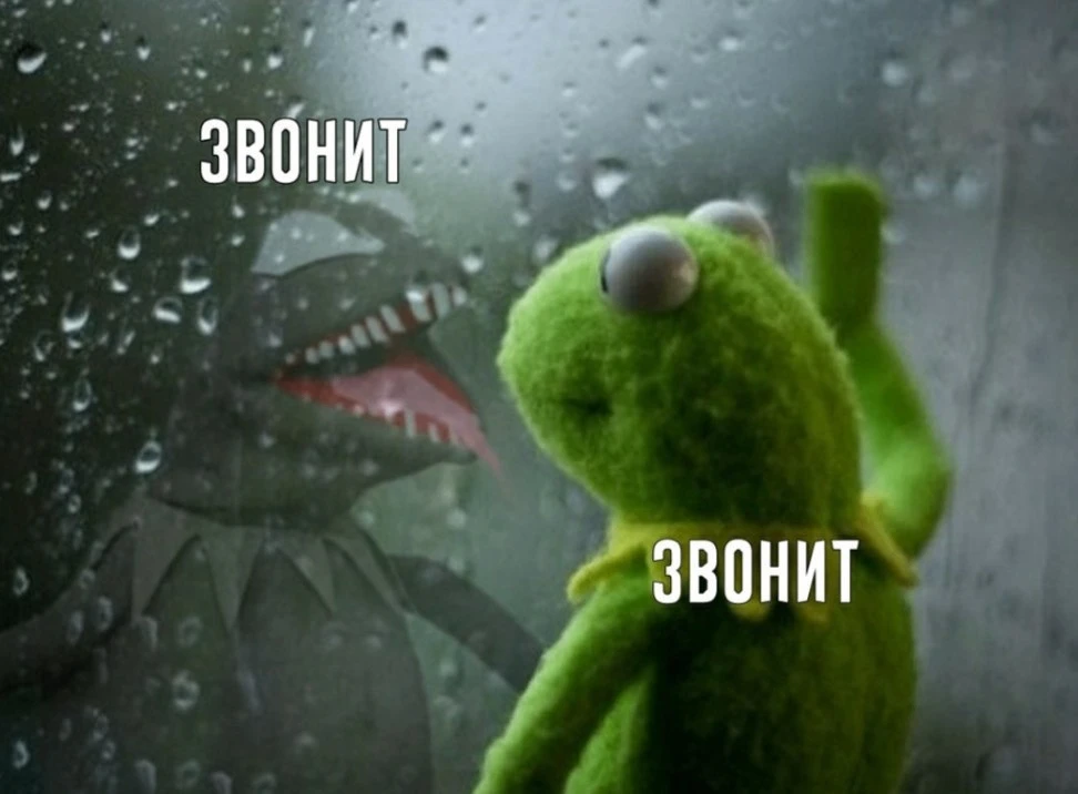 Изображение 1 к публикации «Grammar Nation»