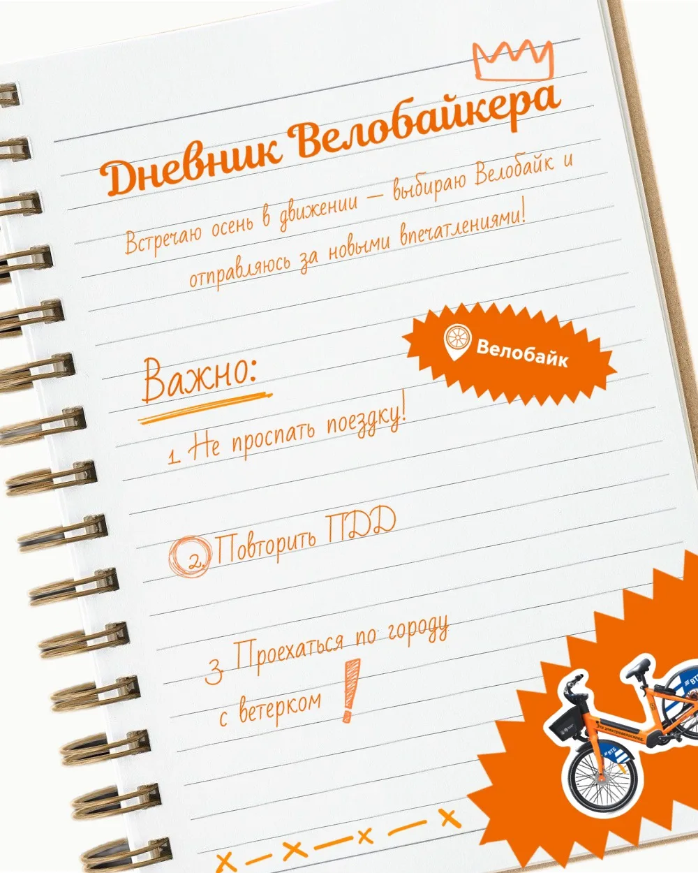 Кто сегодня получит пятёрку