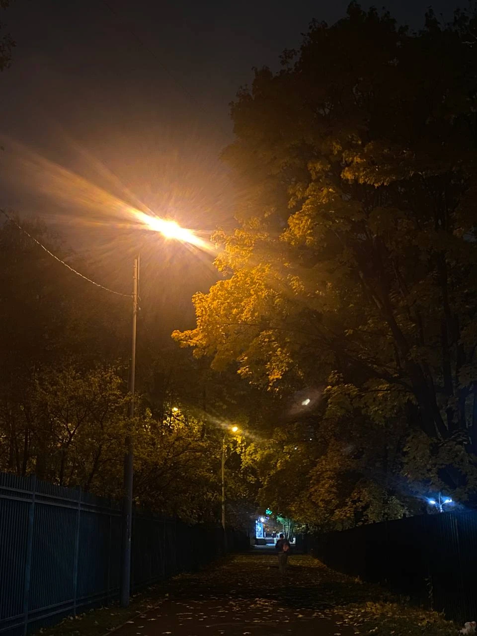 🍂 Приятный осенний пейзаж в Братеево