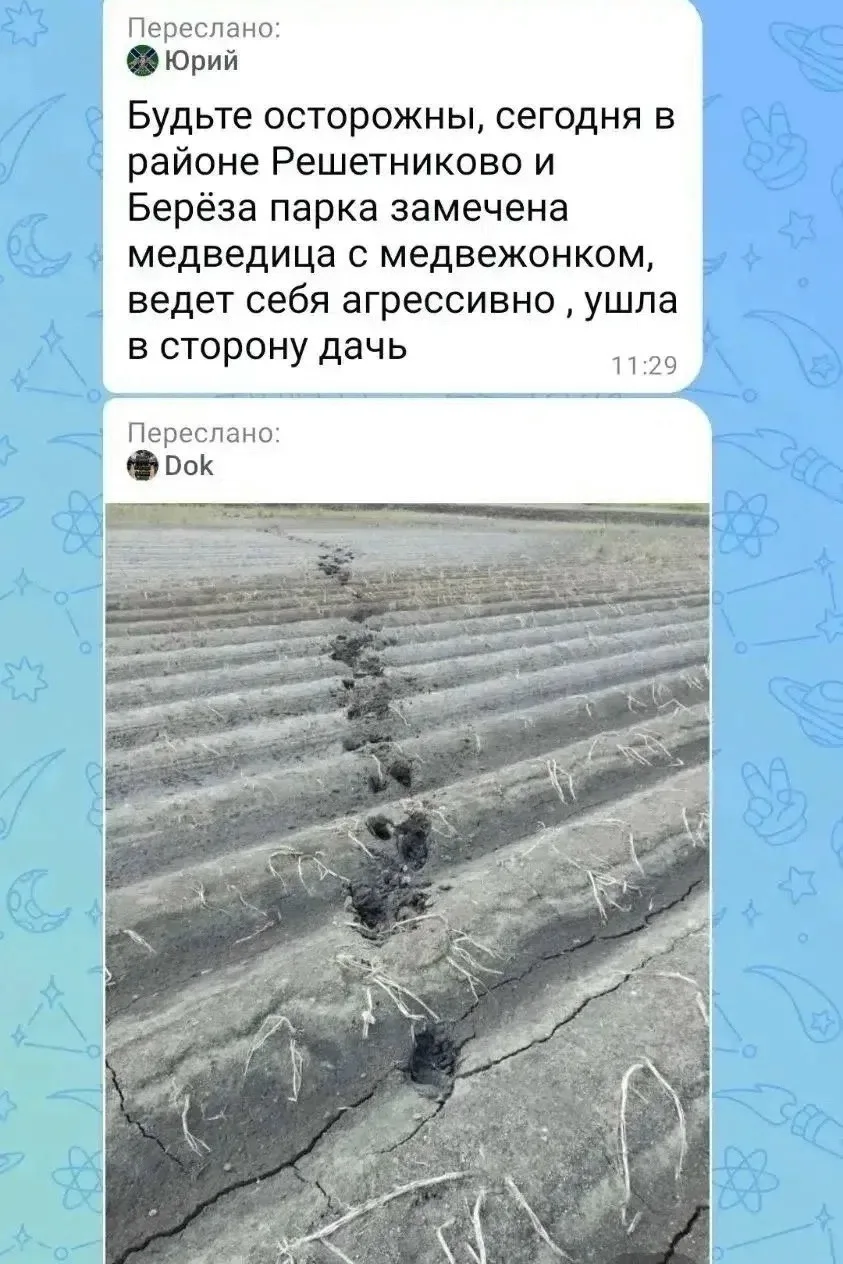 Уважаемая администрация города! В течение последних дней в районе д. Решетникова, Берез...