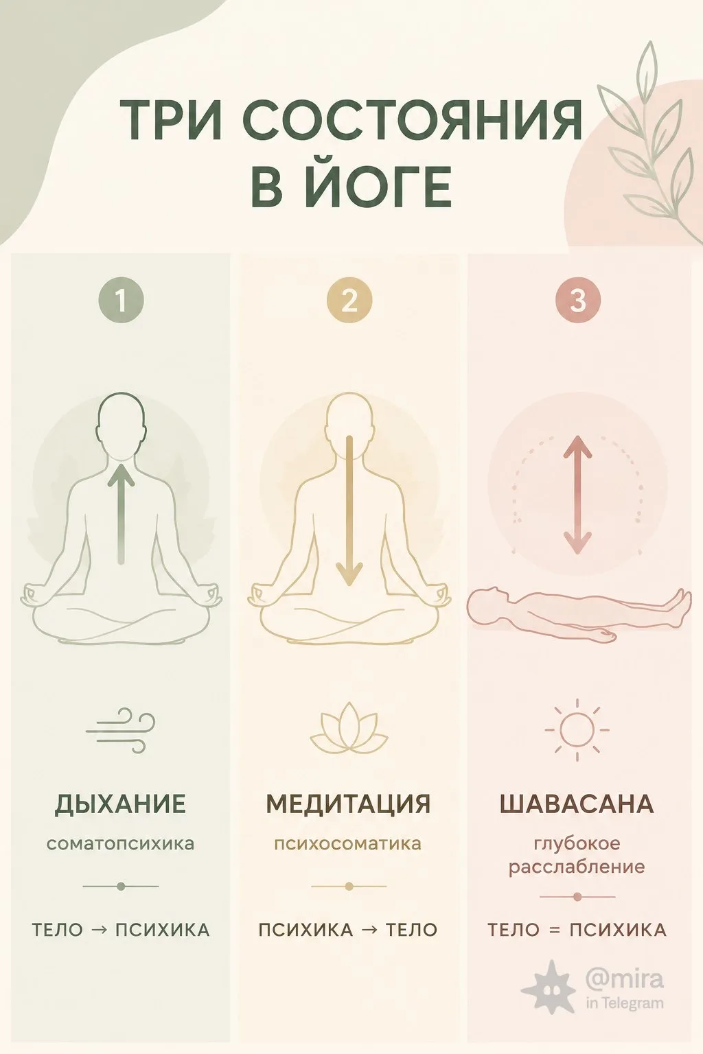 «Шавасана — это НЕ медитация»