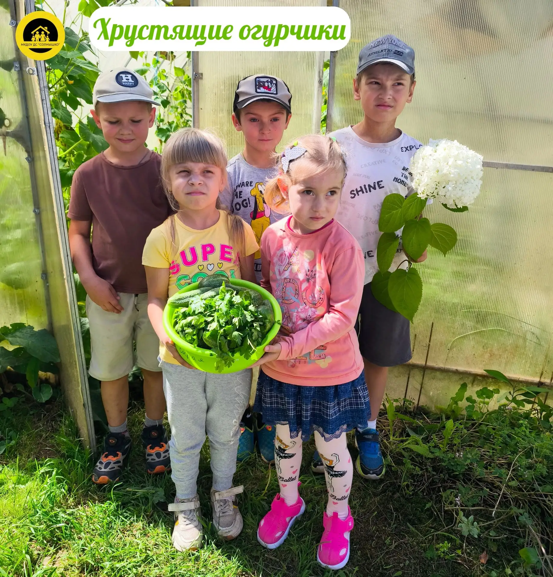 Сегодня ребята собрали очередной урожай. Из парника хрустящие огурчики и свежая полезна...