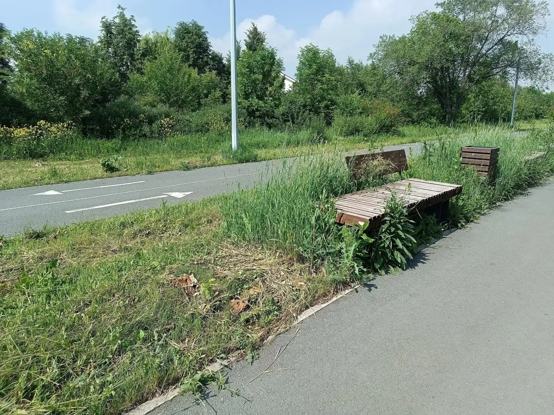 Проблемы с состоянием парка «Южный» в Магнитогорске вызывают недовольство жителей.

По словам местны