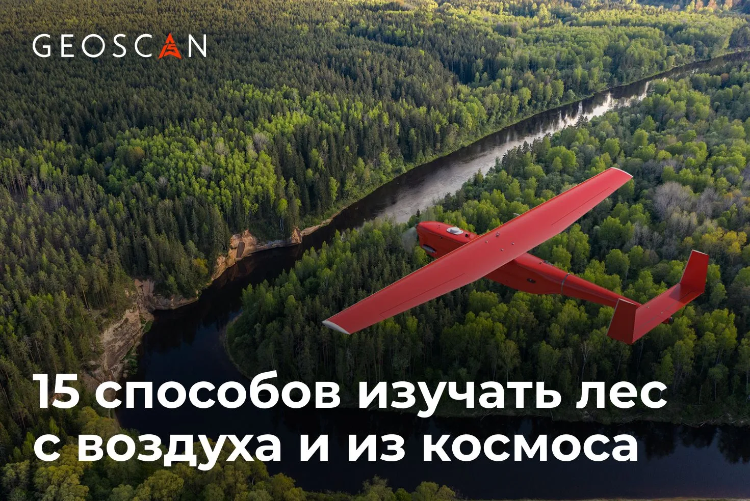 🌲 20 сентября отмечается День работников леса