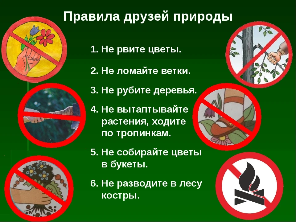 Дорогие жители! 

Вокруг наших домов прекрасная природа🌲, яркое благоустройство🪴, давайте дружно п