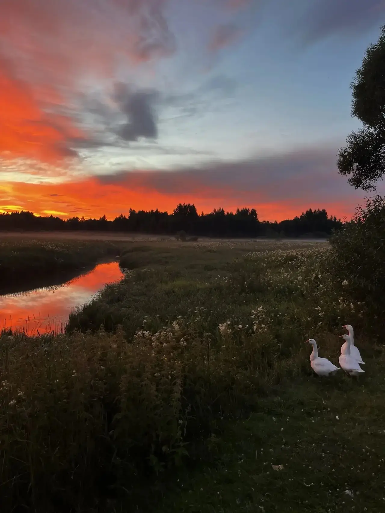 С первым днём осени, друзья🍁