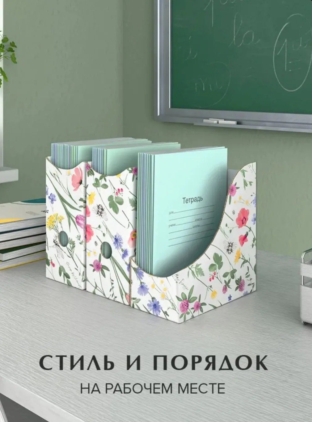 В новом учебном году я буду преподавать биологию в 5-11 классах и химию в 8-11 классах.