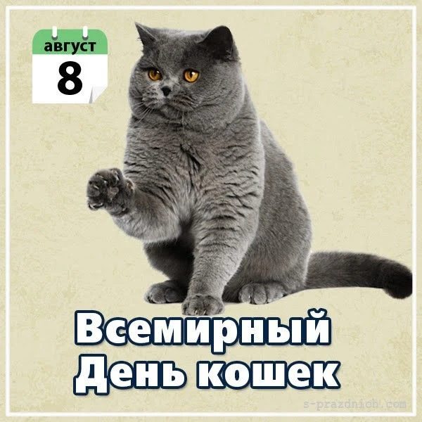🐾 Мяу-день у наших малышей! 🐱✨