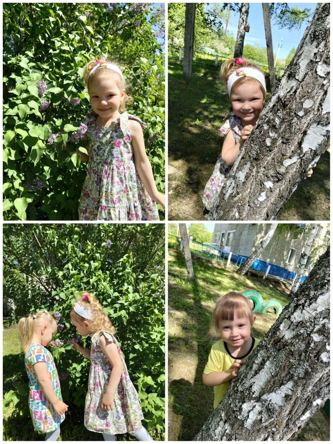 Фото в кадре