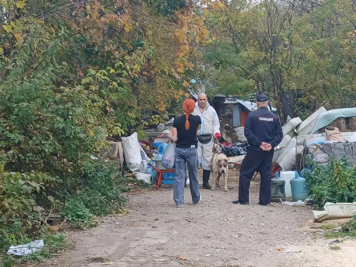 В "Острове надежды" в Калуге нашли погибшую собаку: животных будут отлавливать