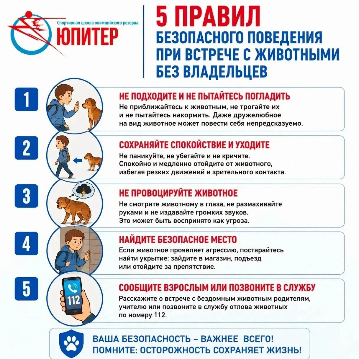 Хвостатые «бандиты» 🐶
