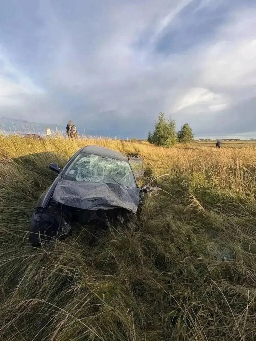 😭 В Шатуре произошло ДТП с участием пьяного водителя, в котором пострадала трехлетняя ...