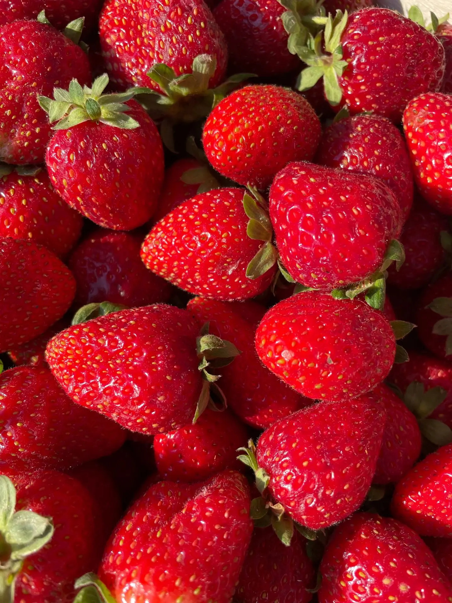 🍓🌈Доброе утро! Раздача ягоды продолжается!