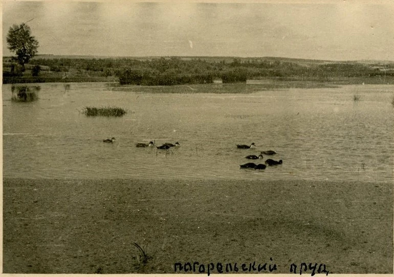 Ст. Менделеево. Погорельский пруд.. Ананьин Борис Дмитриевич (Фотограф) 1942г-1