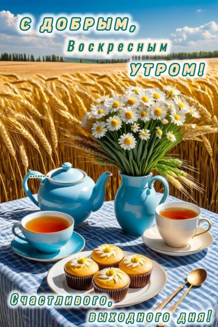 ОТКРЫТКИ