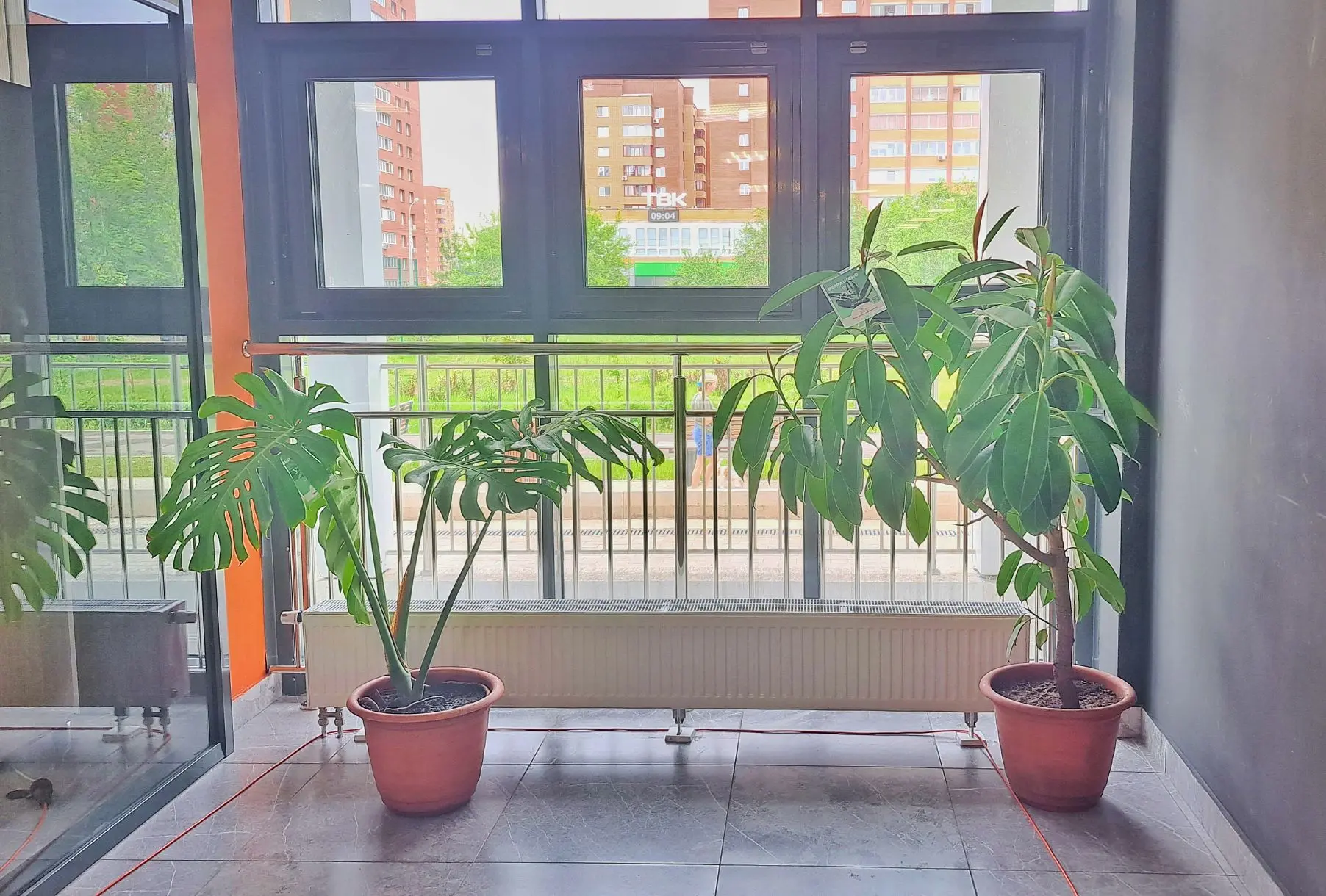 Мы любим дарить зелень 💚

Сегодня наши специалисты передали в бассейн «Айсберг» два шикарных крупно