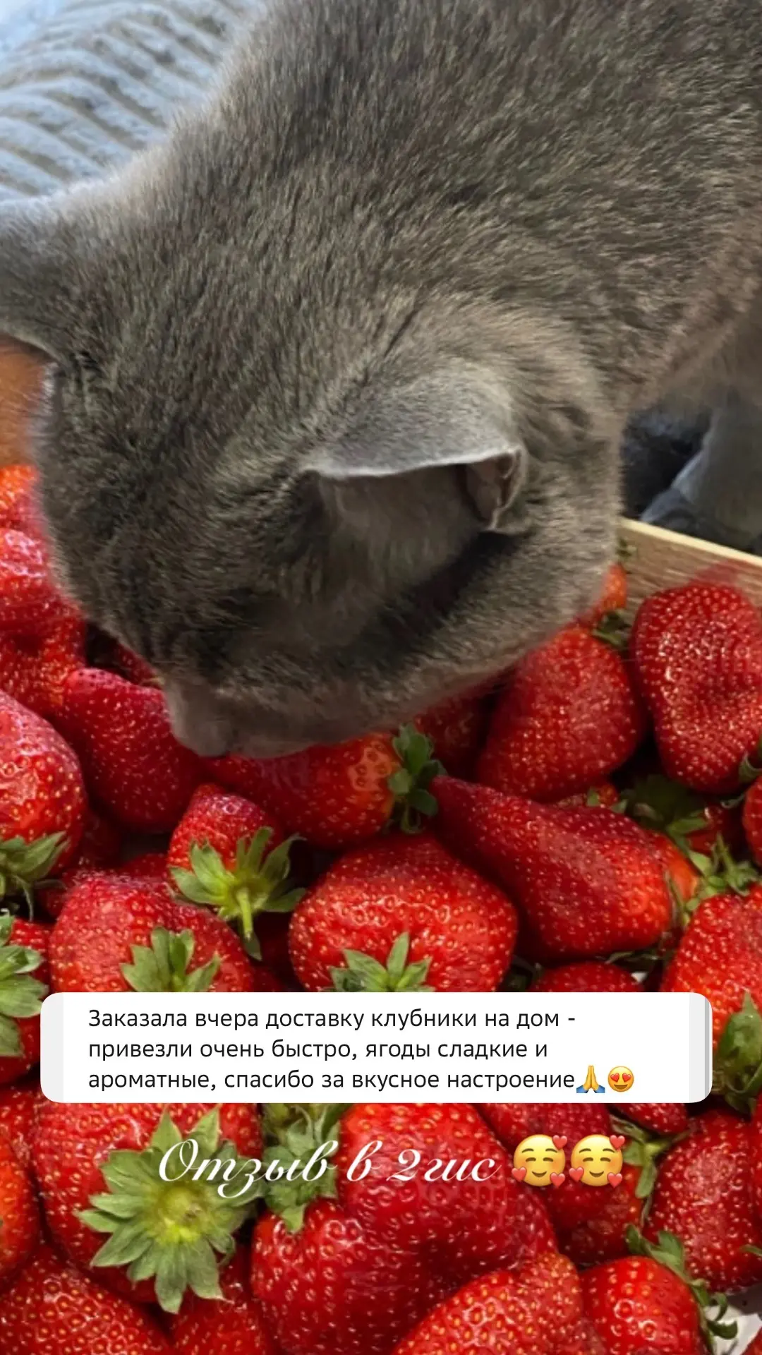Дорогие друзья!  Команда «Первый Ягодный» поздравляет вас с этим тёплым весенним праздником 🌷   Пуст