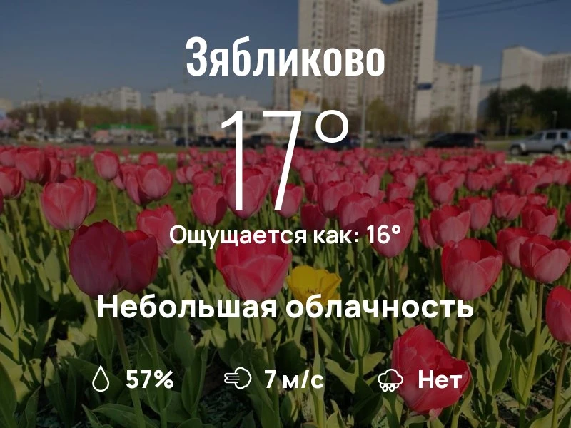 Что с погодой в Зябликово?