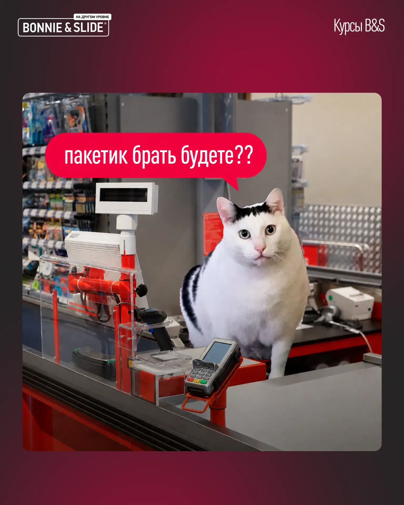Тема с пакетами не раскрыта...🛍