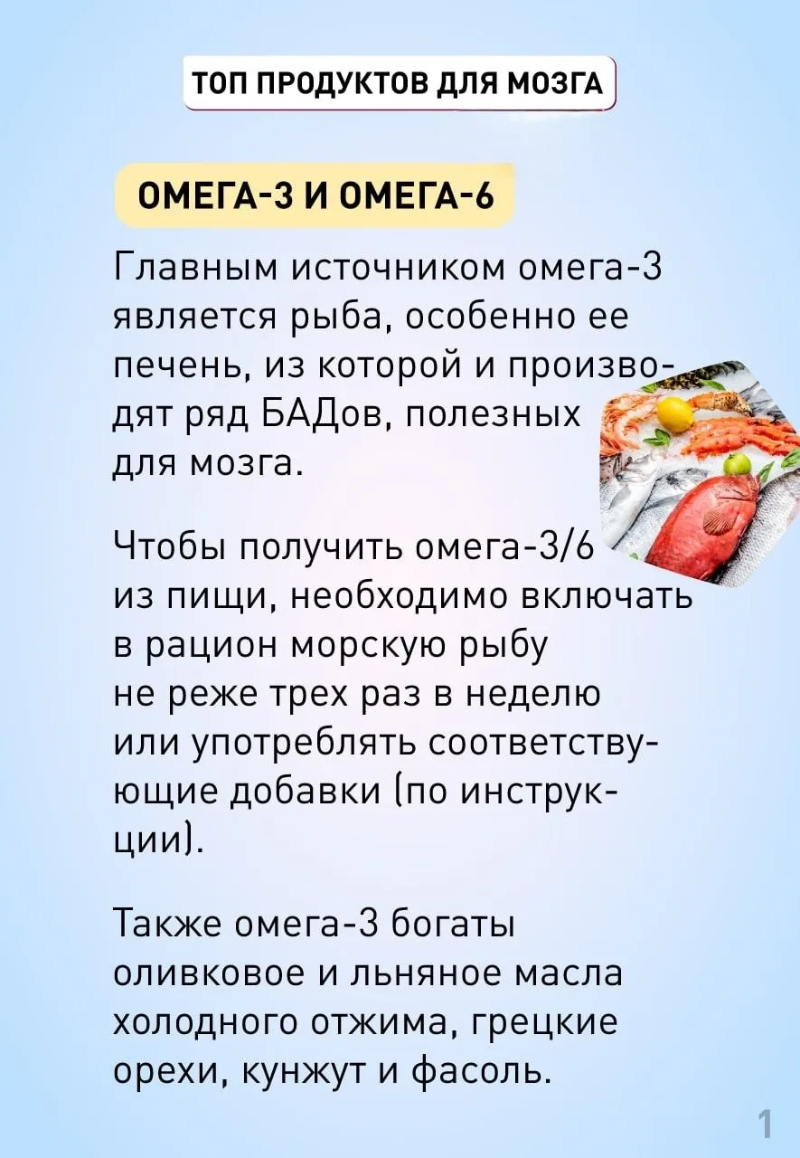 Еда для ума: что заряжает мозг, а что его тормозит