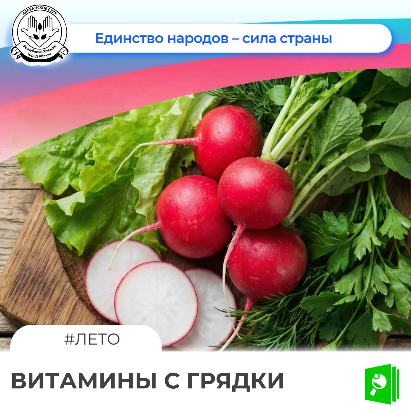 🌱 Витамины с грядки! 🌱

В Абаканском СУВУ поспел урожай редиса. Этот овощ - настоящий кладезь вита