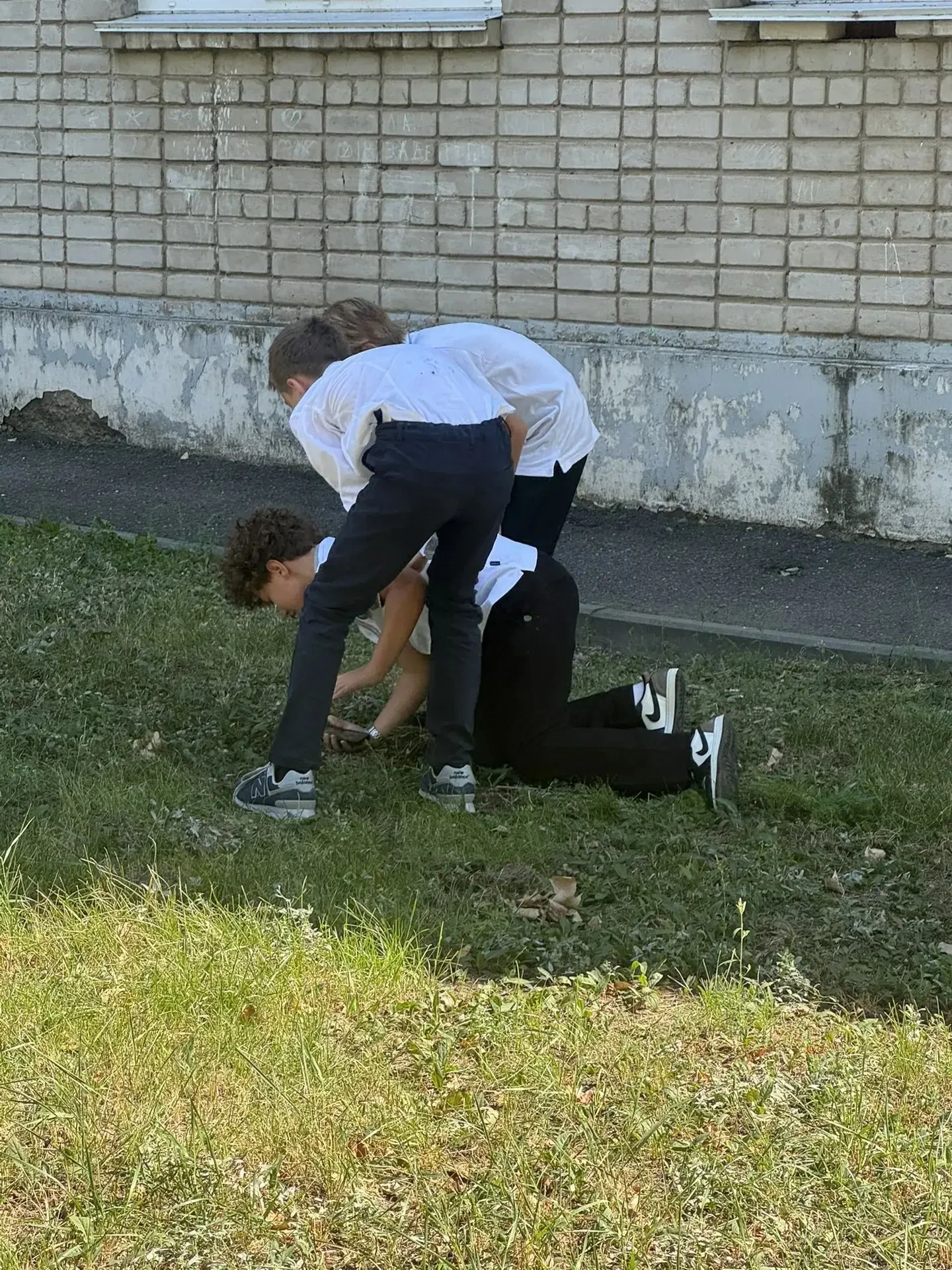 Предложка: