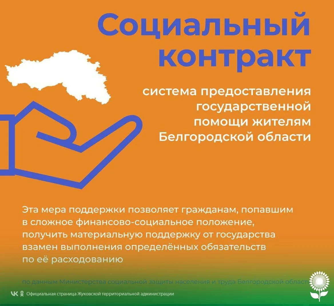 Социальный контракт помогает реализовать мечты и развивать бизнес