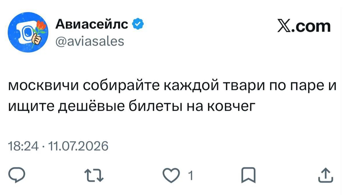 Сммщик Авиасэйлс рассказал, как москвичам спастись от дождя 😁