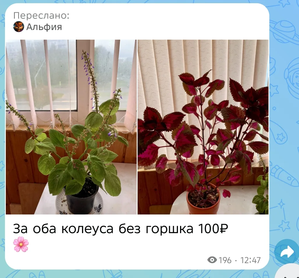 БАРАХОЛКА КАЗАНЬ | КУПЛЮ • ПРОДАМ