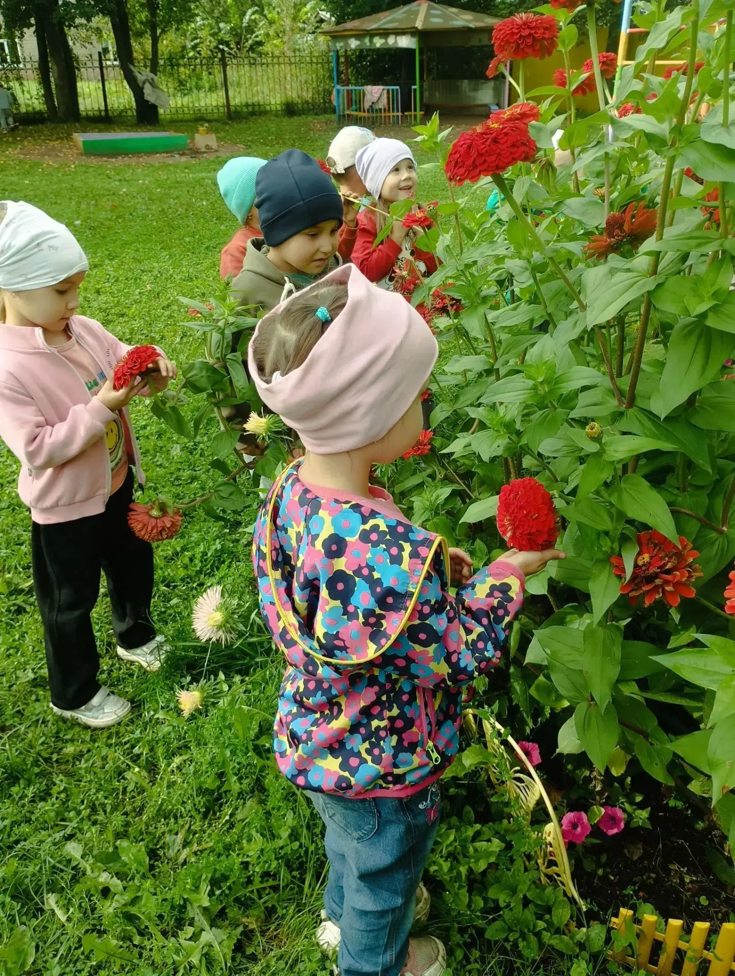 🌳🦋Природа — это удивительный мир, который окружает нас каждый день. Это леса, поля, р...