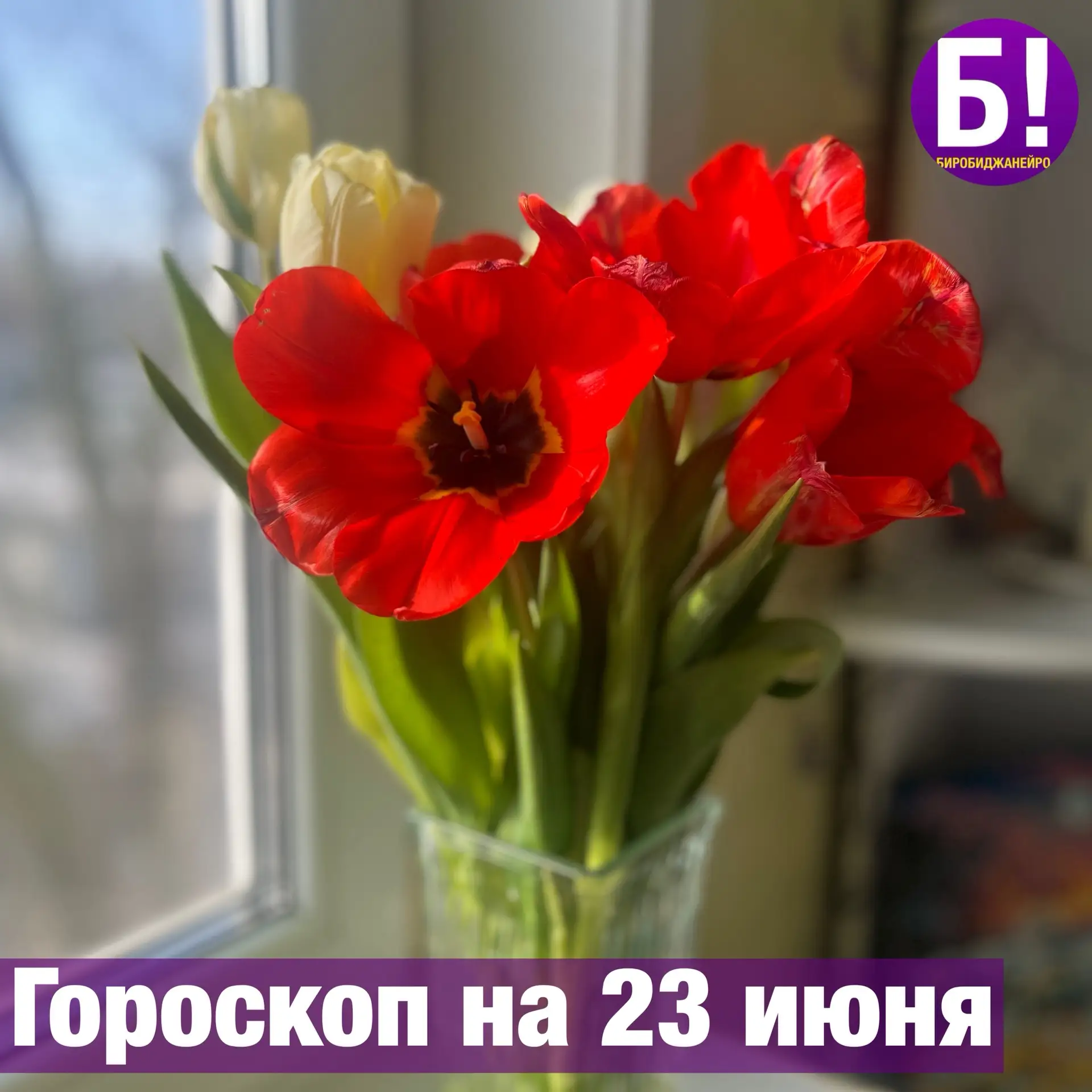 Овен ♈
Эмоциональное спокойствие и детокс. Очищайте организм и разум через медитацию или спа. Избега