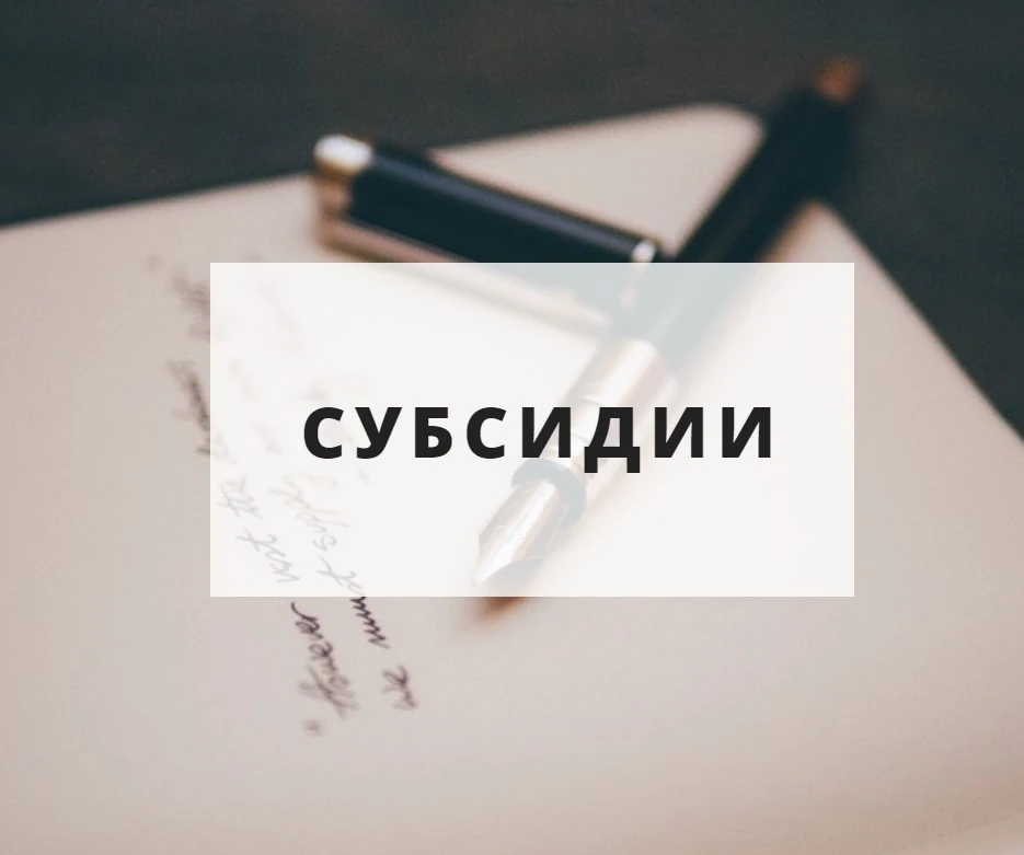 Целевые субсидии из федерального бюджета: правительство добавило новые цели