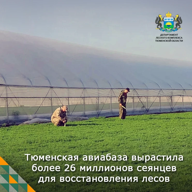 🌱 В регионе завершилась осенняя инвентаризация лесных питомников и тепличных комплексо...
