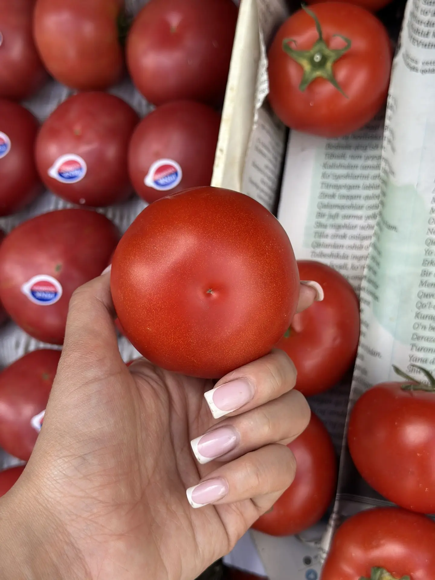 третий вид наших помидор 🍅 
узбекистан, для своей цены 🔥

199₽ за кг