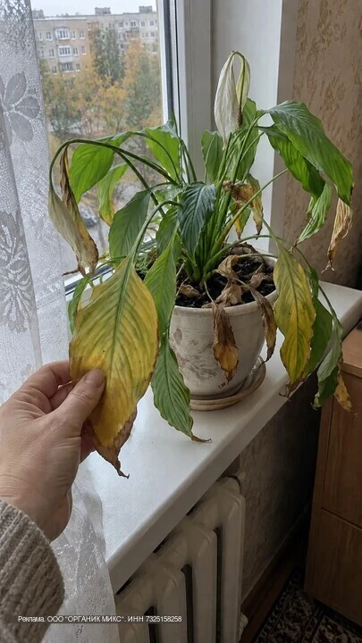 Неожиданный и приятный результат.