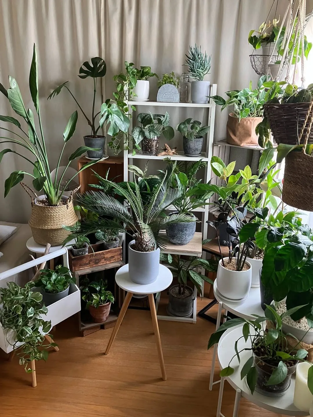 🌿 Друзья, поздравляем вас с первым днём осени!