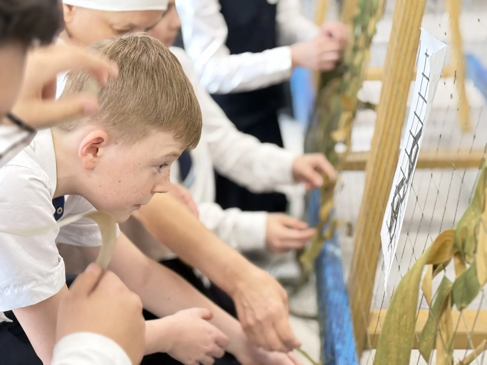 🕊️ Перемены, которые меняют мир.   В гимназии перемены наполнились особым смыслом. Теперь это не тол