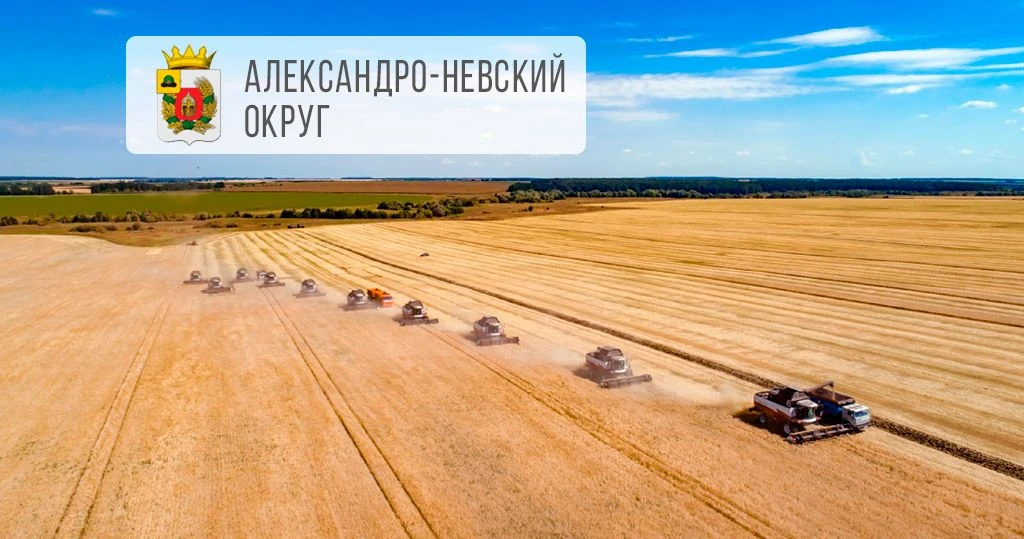 🌾 Намолот зерна в Александро-Невском округе превысил 100 тыс. тонн