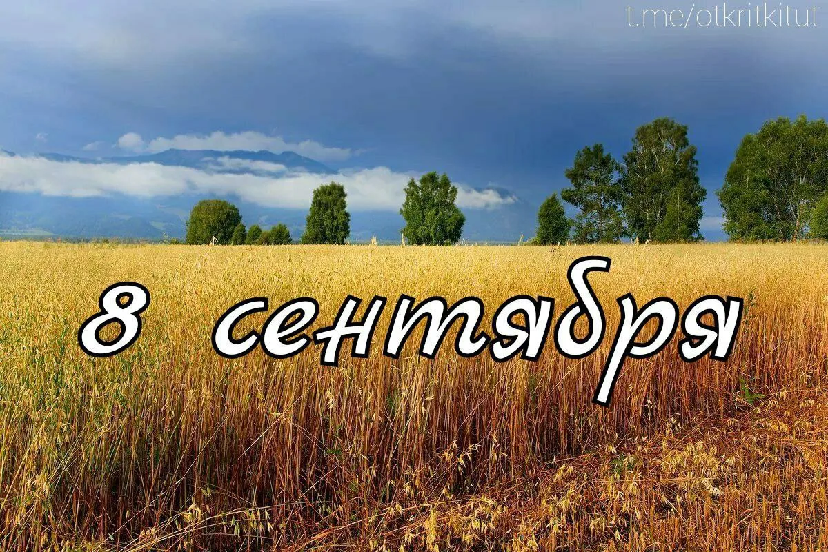Праздники 8 сентября 🗓️