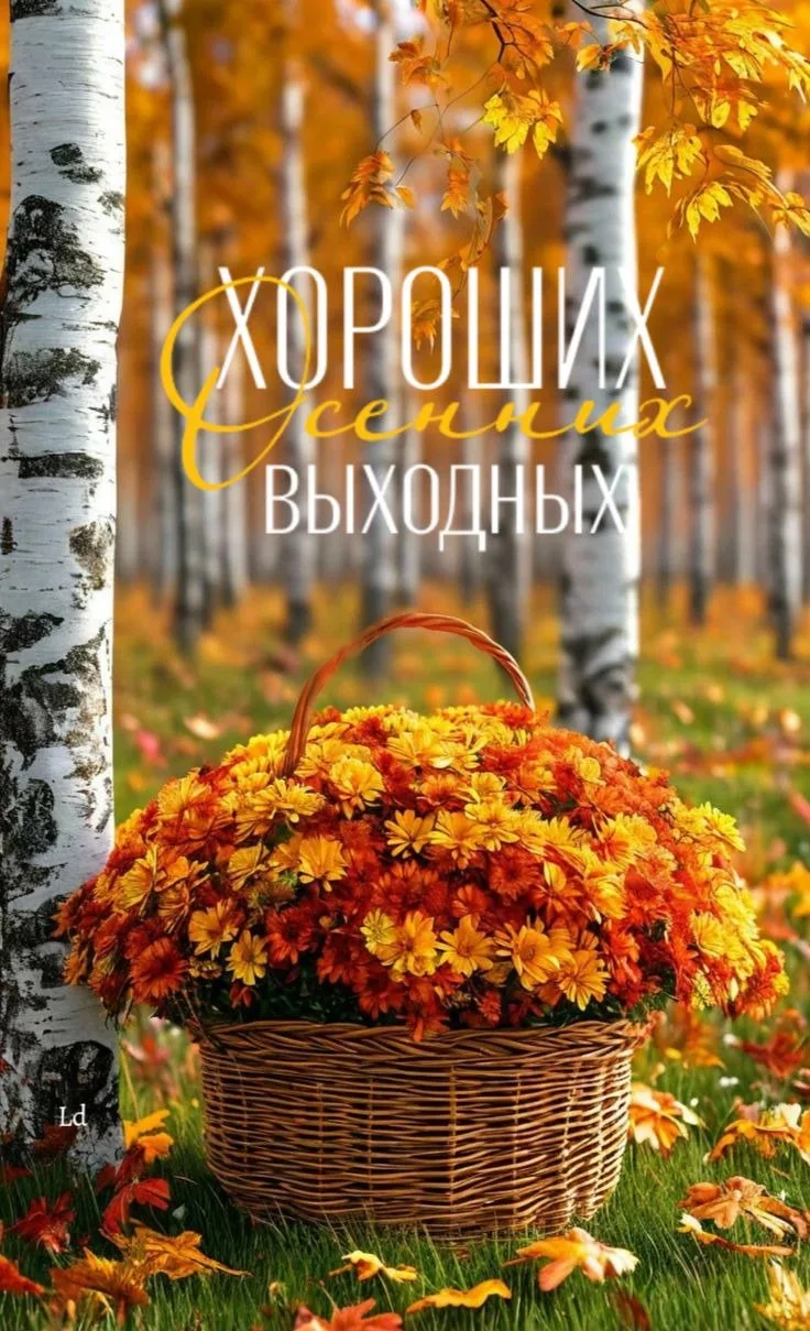 ☕️ #доброе_утро