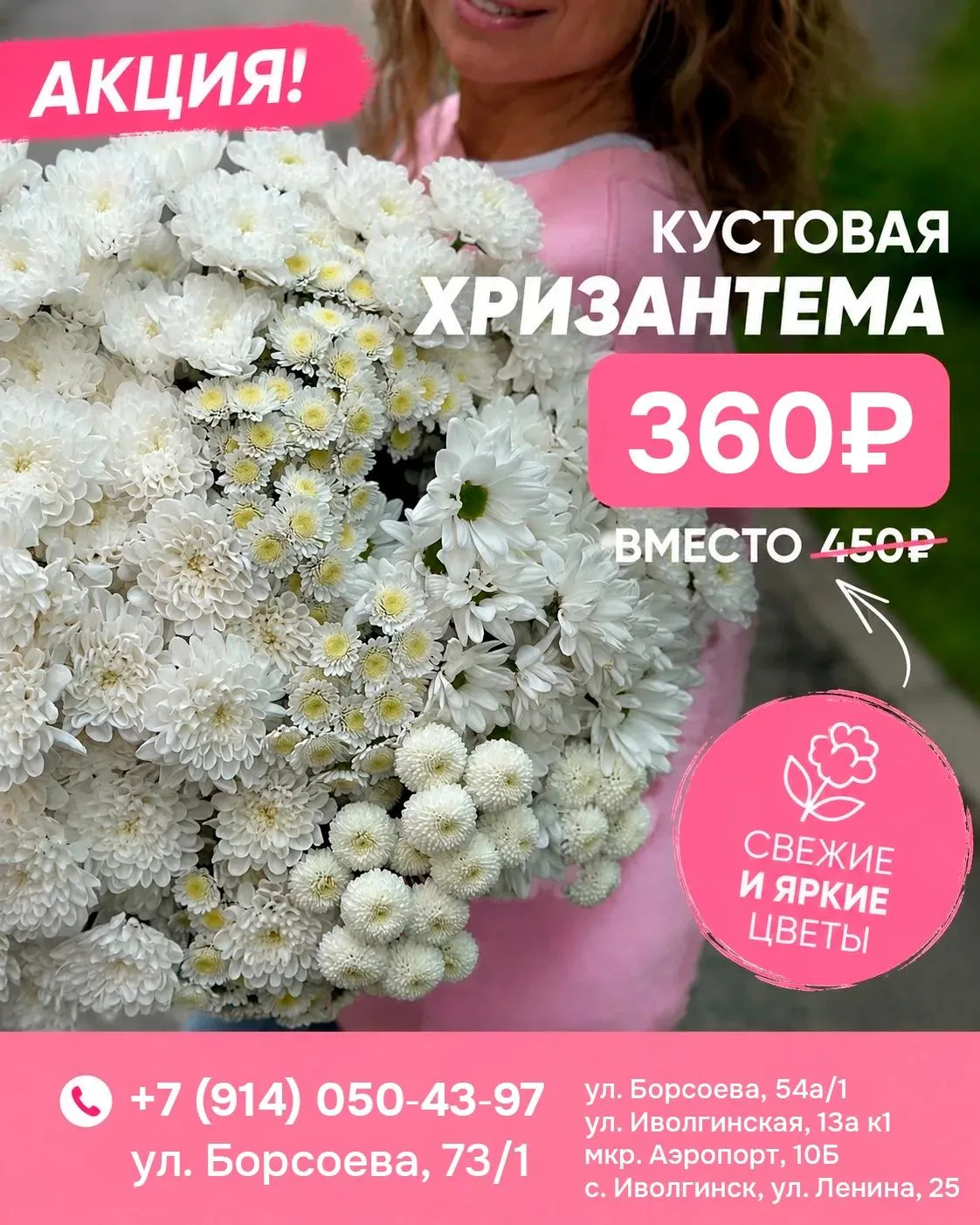 🌸 АКЦИЯ НА ЛЮБИМЫЕ ХРИЗАНТЕМЫ! 🌸