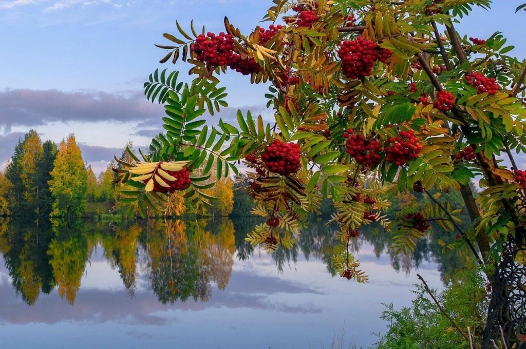 ПРОГНОЗ ПОГОДЫ